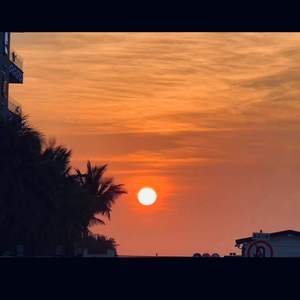 人马猪狗驴高清视频大全播放
